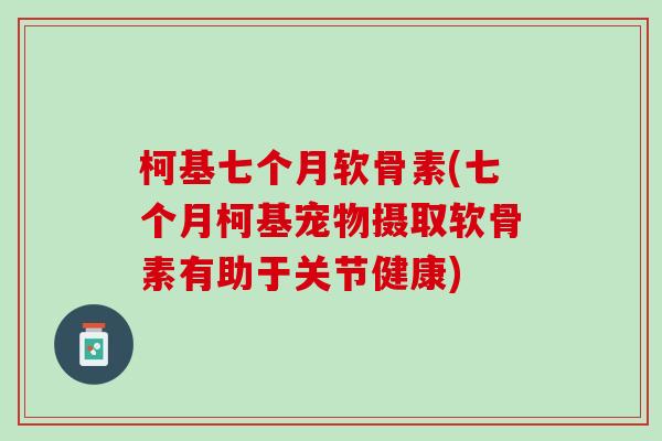 柯基七个月软骨素(七个月柯基宠物摄取软骨素有助于关节健康)