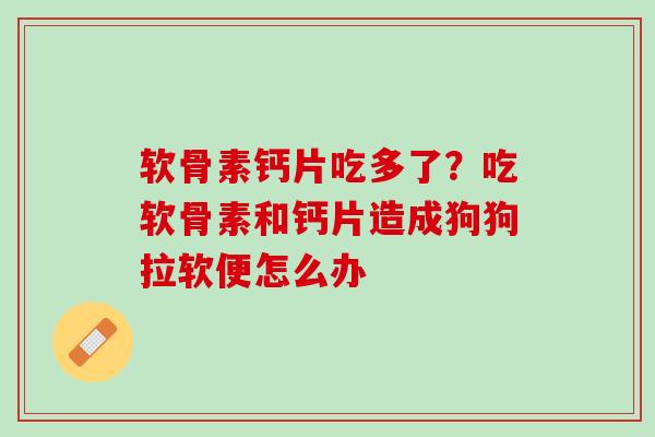 软骨素钙片吃多了？吃软骨素和钙片造成狗狗拉软便怎么办
