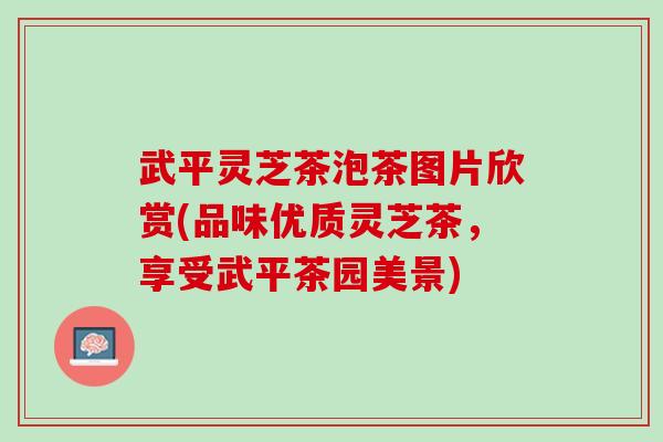武平灵芝茶泡茶图片欣赏(品味优质灵芝茶，享受武平茶园美景)