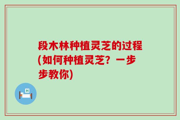 段木林种植灵芝的过程(如何种植灵芝？一步步教你)