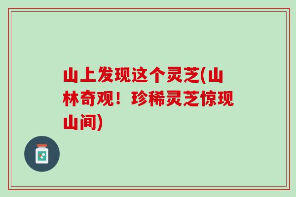 山上发现这个灵芝(山林奇观！珍稀灵芝惊现山间)
