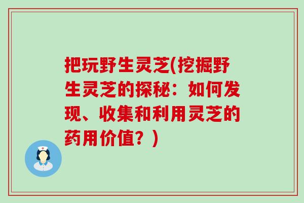 把玩野生灵芝(挖掘野生灵芝的探秘：如何发现、收集和利用灵芝的药用价值？)