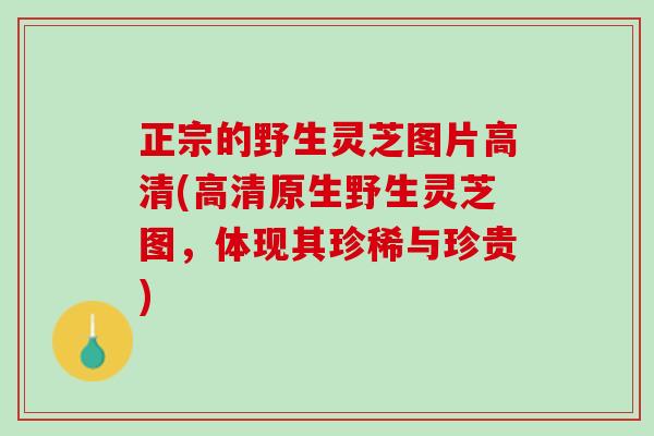 正宗的野生灵芝图片高清(高清原生野生灵芝图，体现其珍稀与珍贵)