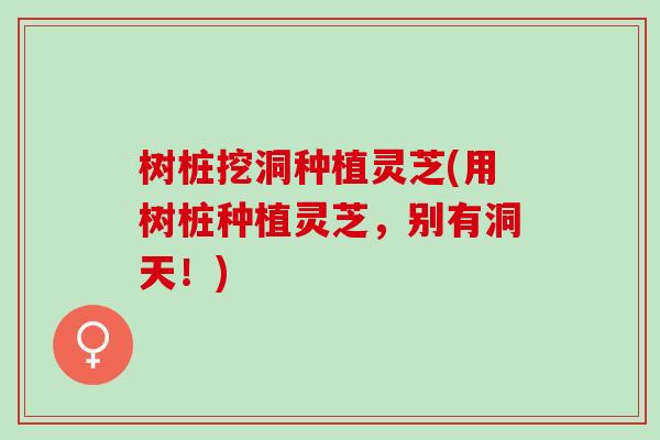 树桩挖洞种植灵芝(用树桩种植灵芝，别有洞天！)