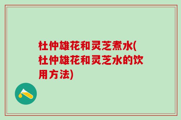 杜仲雄花和灵芝煮水(杜仲雄花和灵芝水的饮用方法)