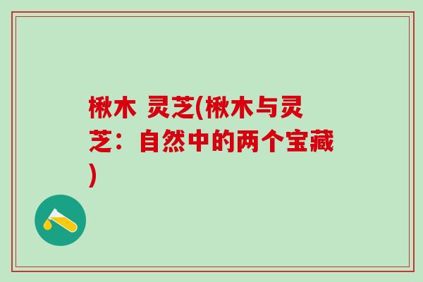 楸木 灵芝(楸木与灵芝:自然中的两个宝藏) 楸木 灵芝(楸木与灵芝:自然中的两个宝藏)
