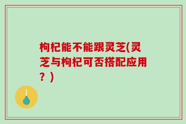 枸杞能不能跟灵芝(灵芝与枸杞可否搭配应用？)
