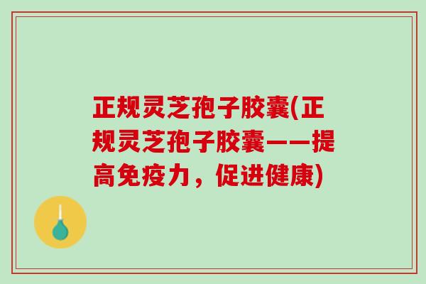 正规灵芝孢子胶囊(正规灵芝孢子胶囊——提高免疫力，促进健康)