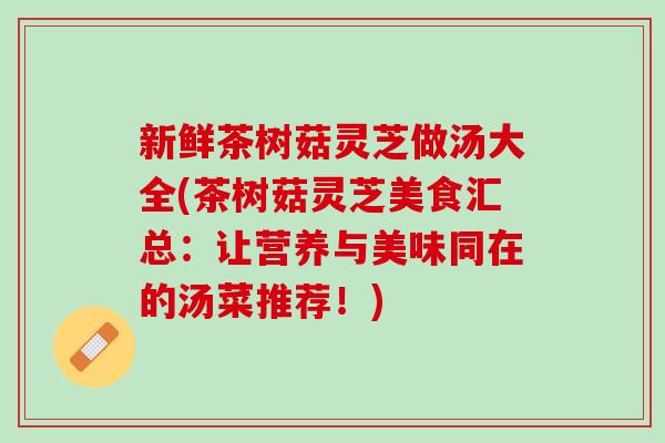 新鲜茶树菇灵芝做汤大全(茶树菇灵芝美食汇总：让营养与美味同在的汤菜推荐！)