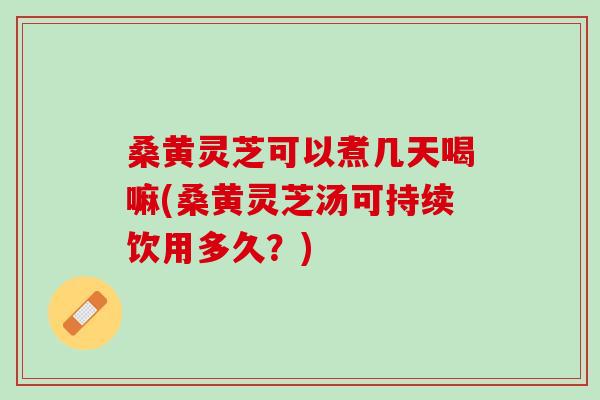 桑黄灵芝可以煮几天喝嘛(桑黄灵芝汤可持续饮用多久？)
