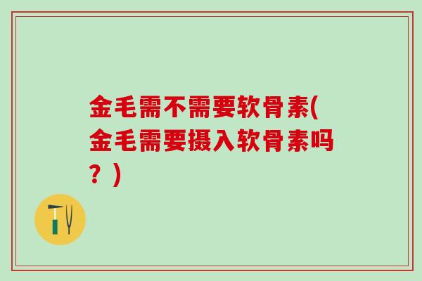 金毛需不需要软骨素(金毛需要摄入软骨素吗？)