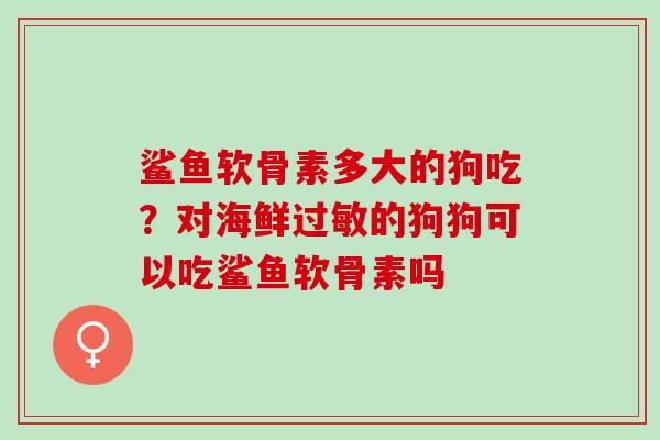 鲨鱼软骨素多大的狗吃？对海鲜过敏的狗狗可以吃鲨鱼软骨素吗
