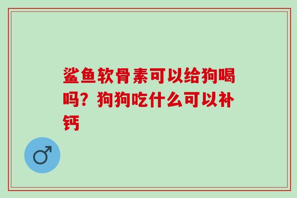 鲨鱼软骨素可以给狗喝吗？狗狗吃什么可以补钙
