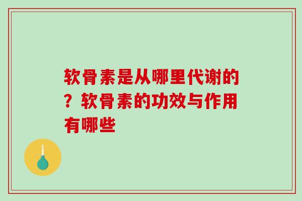 软骨素是从哪里代谢的？软骨素的功效与作用有哪些