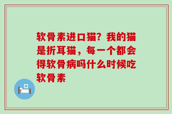 软骨素进口猫？我的猫是折耳猫，每一个都会得软骨病吗什么时候吃软骨素