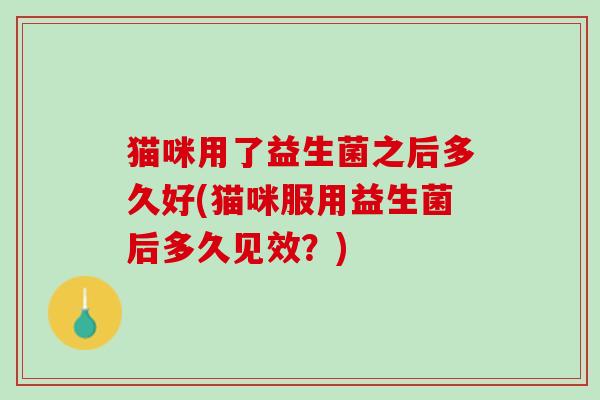 猫咪用了益生菌之后多久好(猫咪服用益生菌后多久见效？)