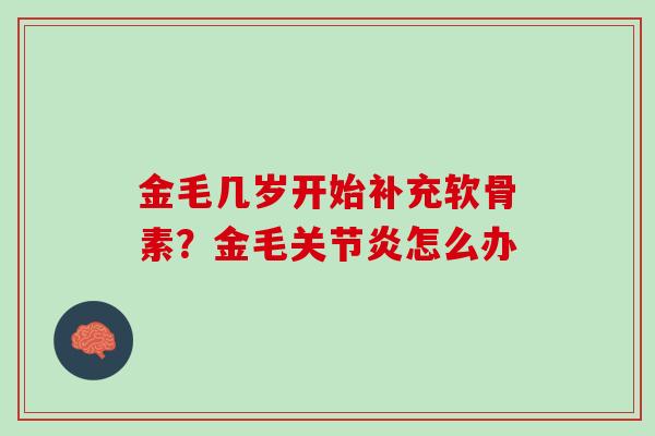 金毛几岁开始补充软骨素？金毛关节炎怎么办