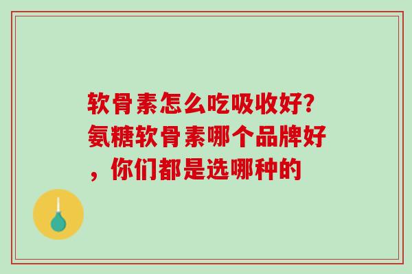 软骨素怎么吃吸收好？氨糖软骨素哪个品牌好，你们都是选哪种的