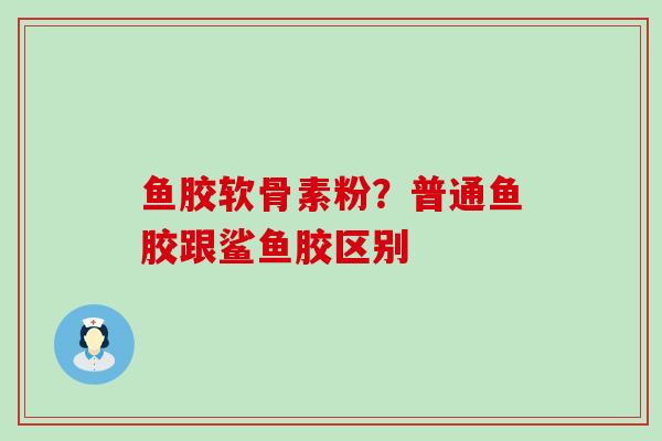 鱼胶软骨素粉？普通鱼胶跟鲨鱼胶区别