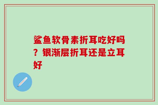 鲨鱼软骨素折耳吃好吗？银渐层折耳还是立耳好