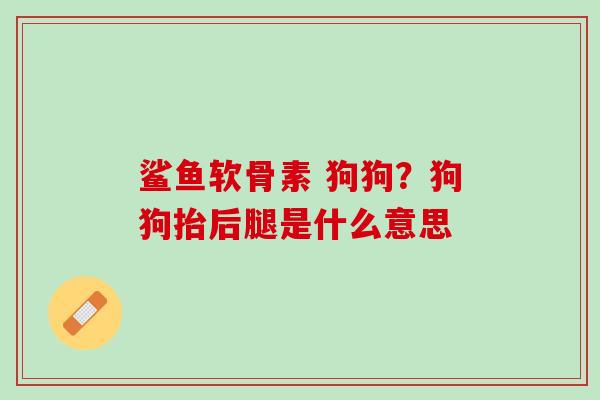 鲨鱼软骨素 狗狗？狗狗抬后腿是什么意思