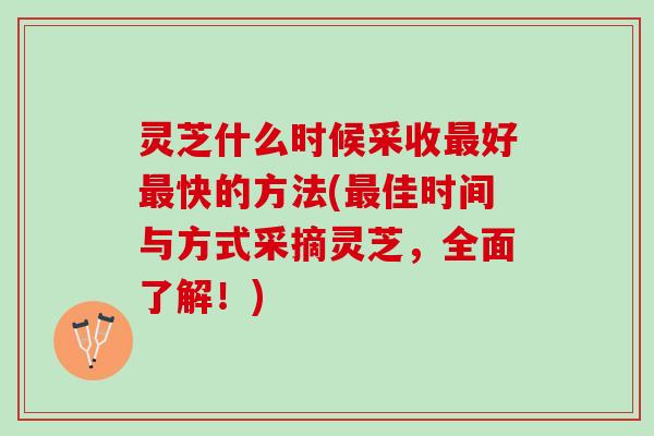 灵芝什么时候采收最好最快的方法(最佳时间与方式采摘灵芝，全面了解！)