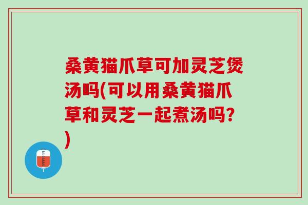 桑黄猫爪草可加灵芝煲汤吗(可以用桑黄猫爪草和灵芝一起煮汤吗？)