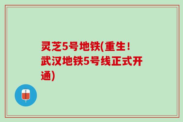 灵芝5号地铁(重生！武汉地铁5号线正式开通)