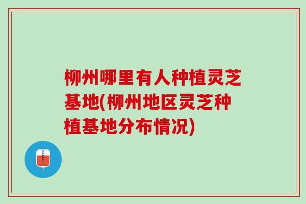 柳州哪里有人种植灵芝基地(柳州地区灵芝种植基地分布情况)