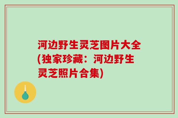 河边野生灵芝图片大全(独家珍藏：河边野生灵芝照片合集)