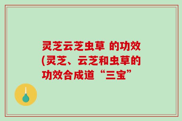 灵芝云芝虫草 的功效(灵芝、云芝和虫草的功效合成道“三宝”