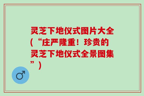 灵芝下地仪式图片大全(“庄严隆重！珍贵的灵芝下地仪式全景图集”)
