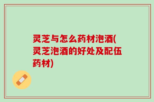 灵芝与怎么药材泡酒(灵芝泡酒的好处及配伍药材)
