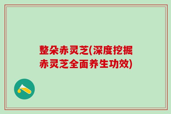 整朵赤灵芝(深度挖掘赤灵芝全面养生功效)