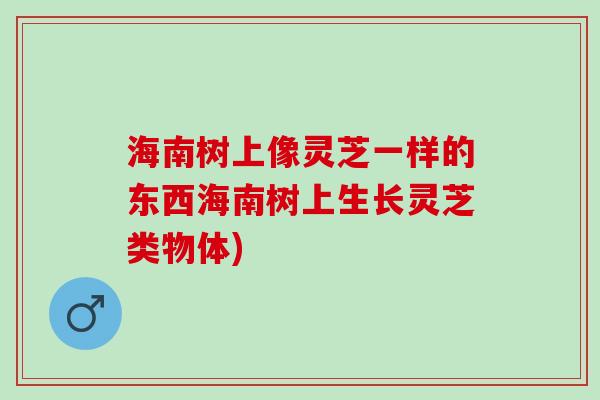 海南树上像灵芝一样的东西海南树上生长灵芝类物体)