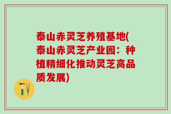 泰山赤灵芝养殖基地(泰山赤灵芝产业园：种植精细化推动灵芝高品质发展)
