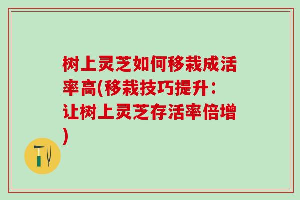 树上灵芝如何移栽成活率高(移栽技巧提升：让树上灵芝存活率倍增)