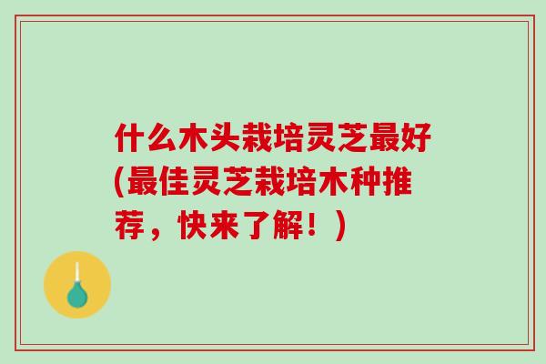 什么木头栽培灵芝最好(最佳灵芝栽培木种推荐，快来了解！)