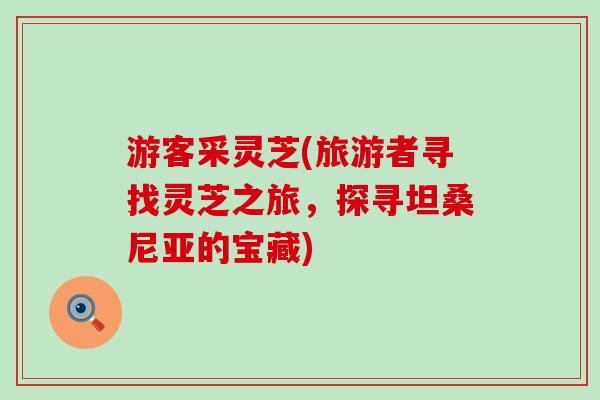 游客采灵芝(旅游者寻找灵芝之旅，探寻坦桑尼亚的宝藏)