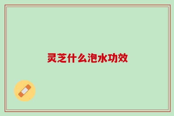 灵芝什么泡水功效