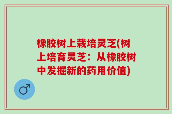 橡胶树上栽培灵芝(树上培育灵芝：从橡胶树中发掘新的药用价值)