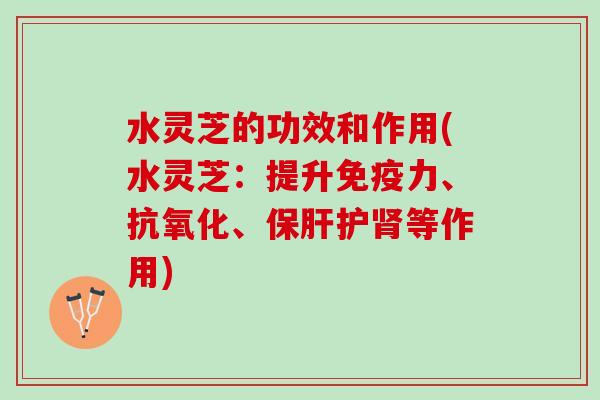 水灵芝的功效和作用(水灵芝：提升免疫力、抗氧化、保肝护肾等作用)