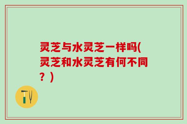 灵芝与水灵芝一样吗(灵芝和水灵芝有何不同？)