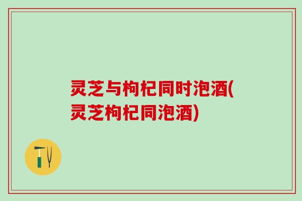灵芝与枸杞同时泡酒(灵芝枸杞同泡酒)