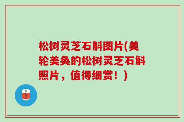 松树灵芝石斛图片(美轮美奂的松树灵芝石斛照片，值得细赏！)