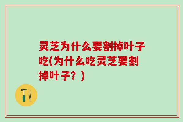 灵芝为什么要割掉叶子吃(为什么吃灵芝要割掉叶子？)