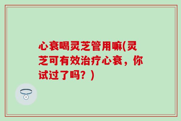 心衰喝灵芝管用嘛(灵芝可有效治疗心衰，你试过了吗？)
