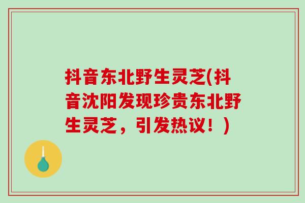 抖音东北野生灵芝(抖音沈阳发现珍贵东北野生灵芝，引发热议！)
