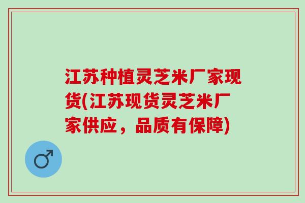 江苏种植灵芝米厂家现货(江苏现货灵芝米厂家供应，品质有保障)