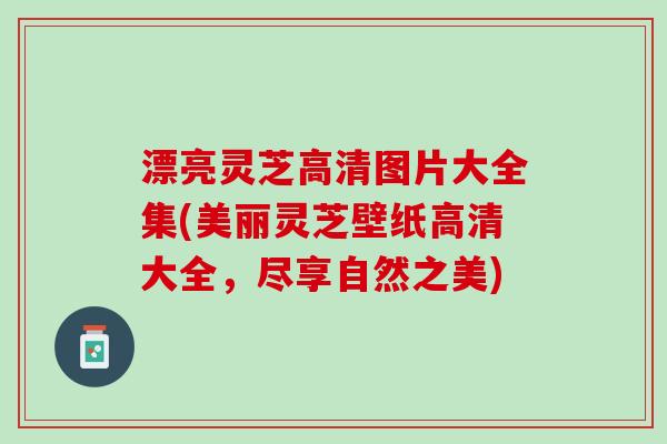 漂亮灵芝高清图片大全集(美丽灵芝壁纸高清大全，尽享自然之美)